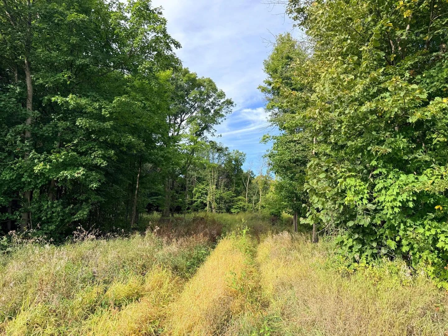 Vacant Land in Waconia - Waconia, Minnesota, 55387