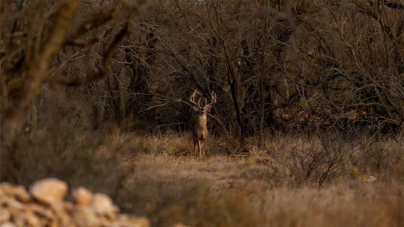 Property from 20775 County Road 1445 - KW