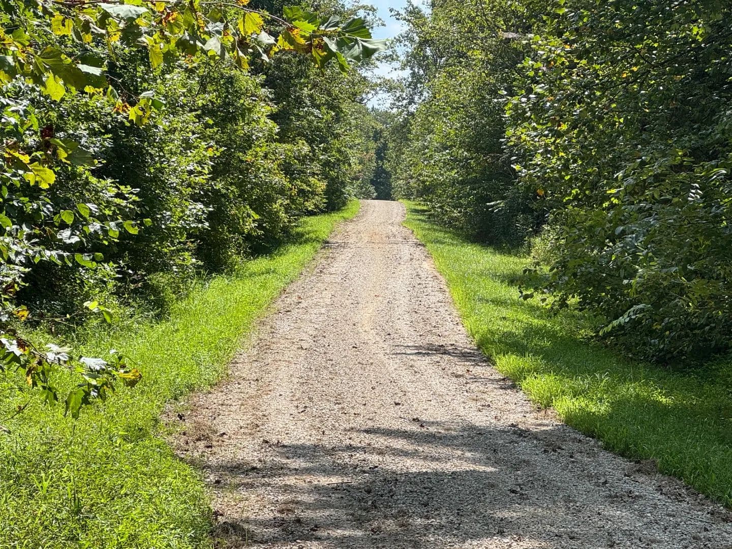 60 Acres in Ohio County, KY  - Cromwell, Kentucky, 42333