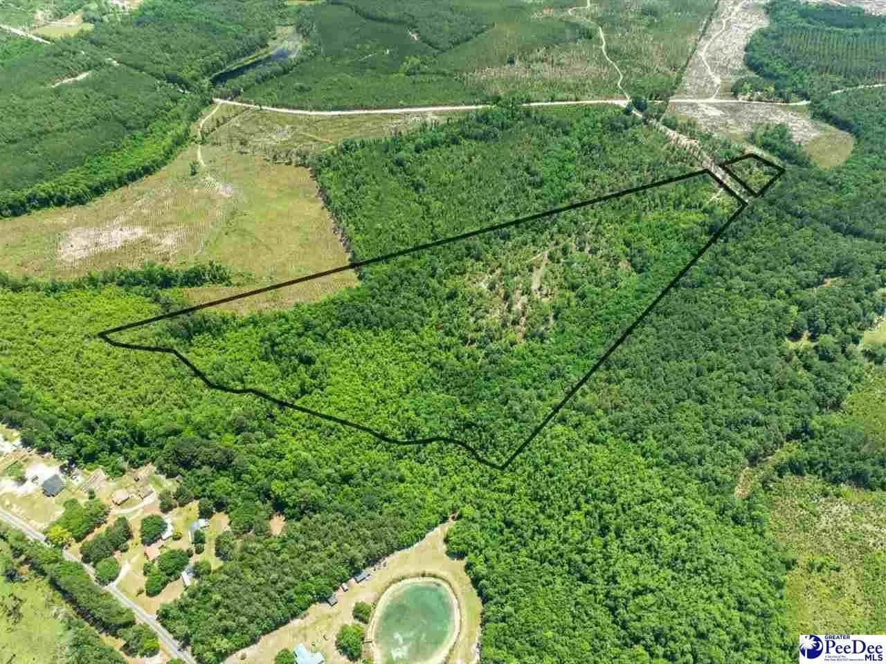Property from Crowley Rd - KW - Patrick, South Carolina, 29584