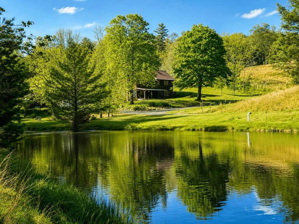 171.5 Acres of Land for Sale in Williamsville, VA - Williamsville, Virginia, 24487