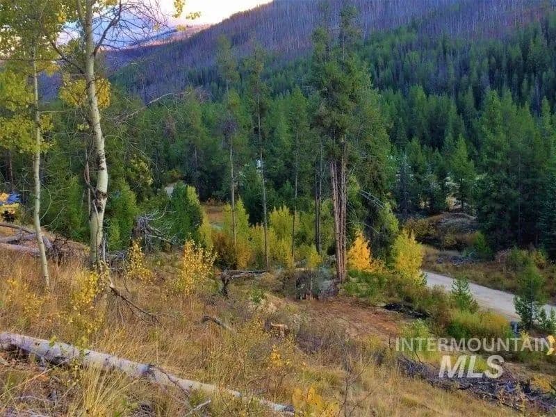 Lots & Land-Other in Warren - Warren, Idaho, 83671