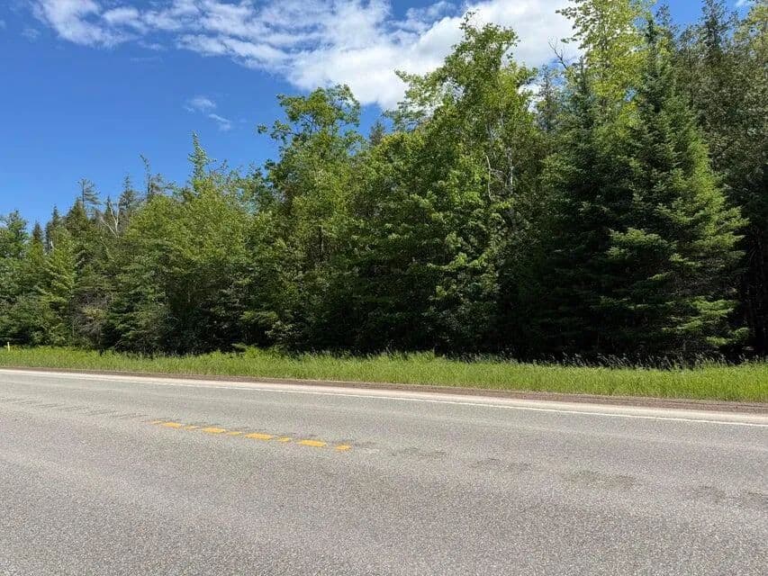Vacant Land in Cheboygan - Cheboygan, Michigan, 49721