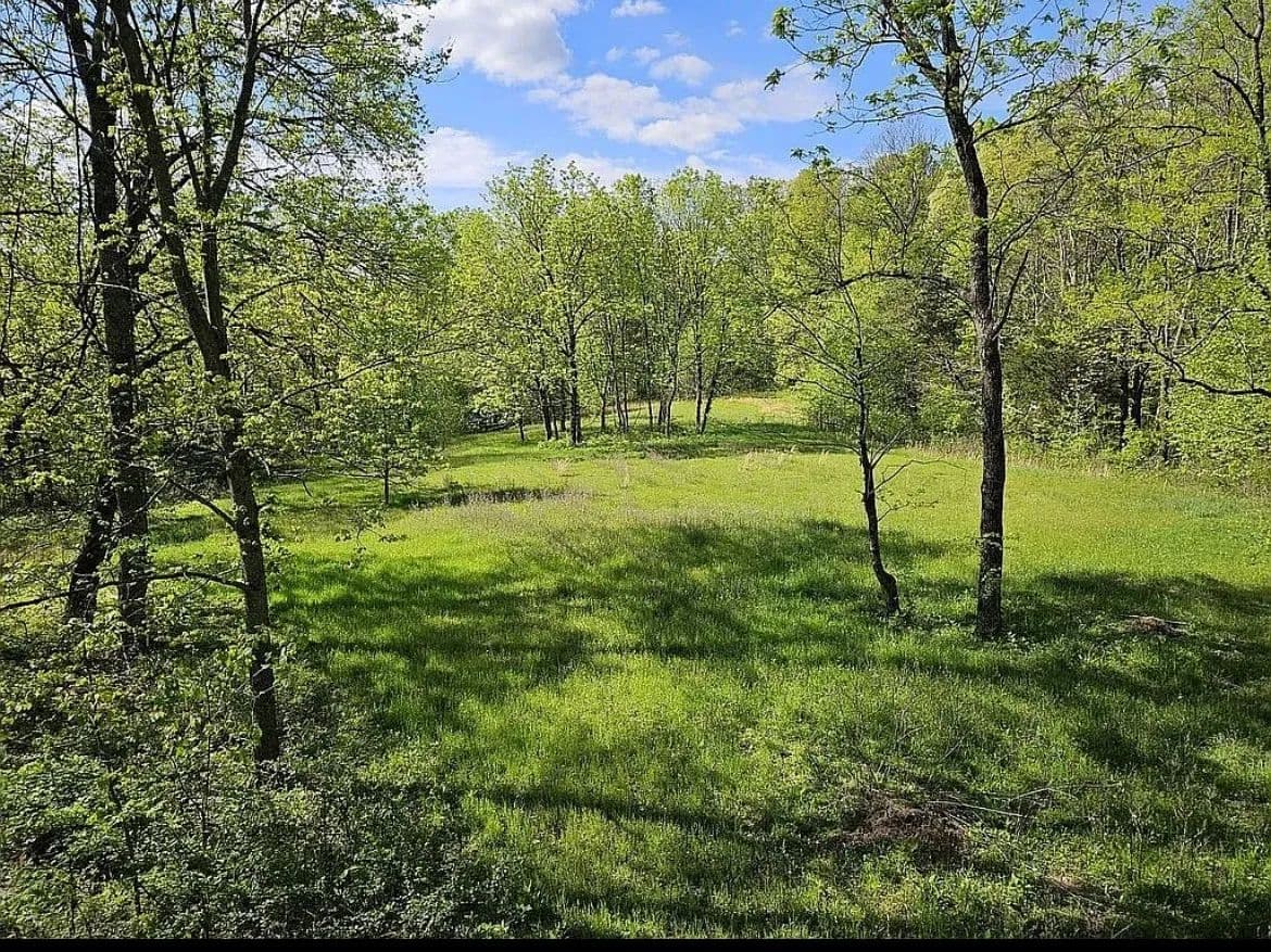 66 Acres of Land for Sale in Bethpage, TN - Bethpage, Tennessee, 37022