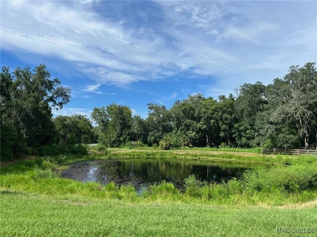 Lots & Land-Other in Inverness - Inverness, Florida, 34452