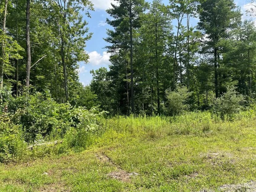 Lots & Land-Other in Towanda