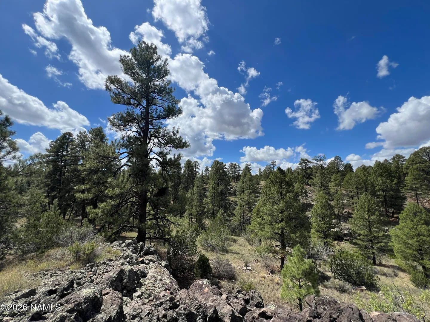 Lots & Land-Other in Williams - Williams, Arizona, 86046