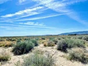 Lots & Land-Other in Silver Springs