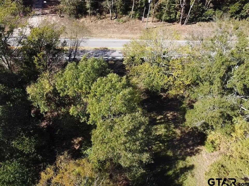 Vacant Land in Alba - Alba, Texas, 75410