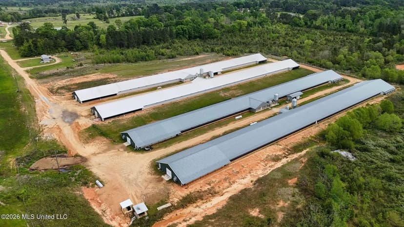 Collins, MS Poultry Pullet Farm for Sale