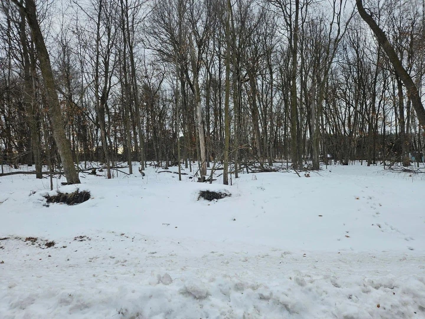 Lots & Land-Other in Saint Stephen - Saint Stephen, Minnesota, 56375