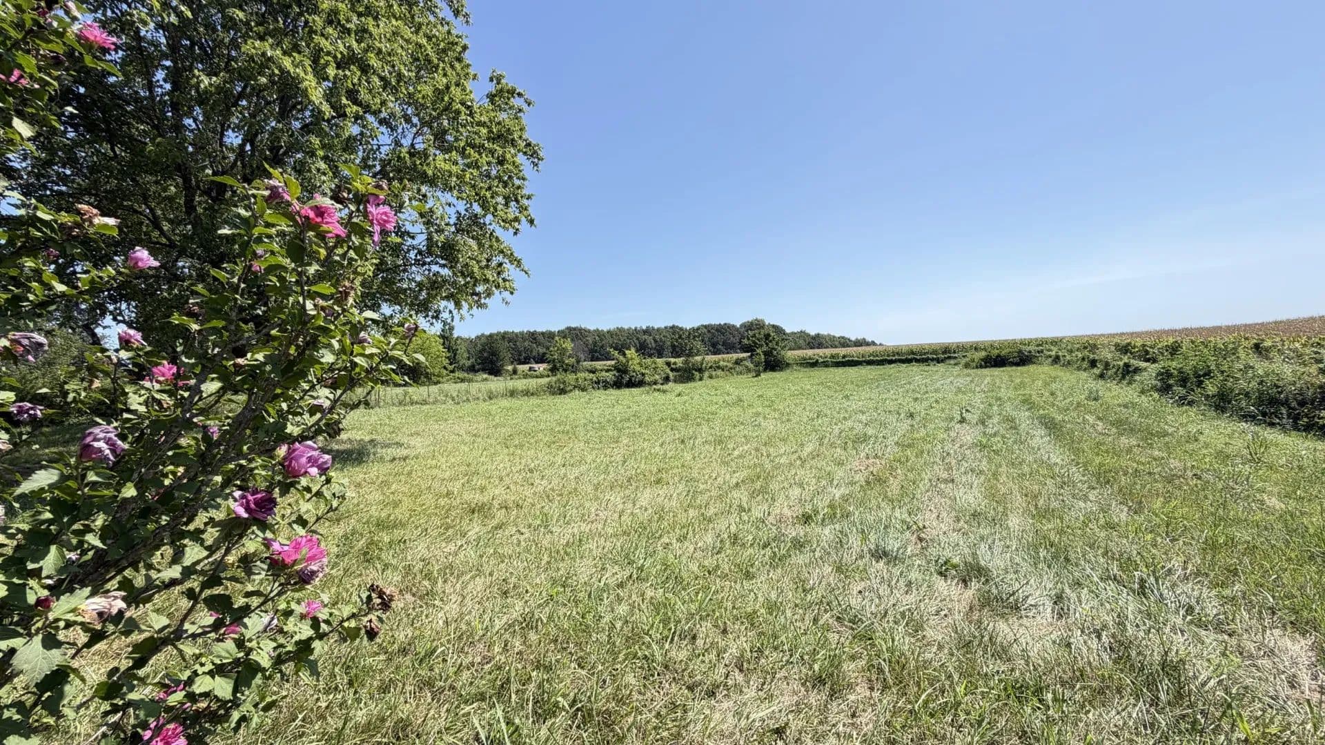 Vacant Land in Portland - Portland, Tennessee, 37148