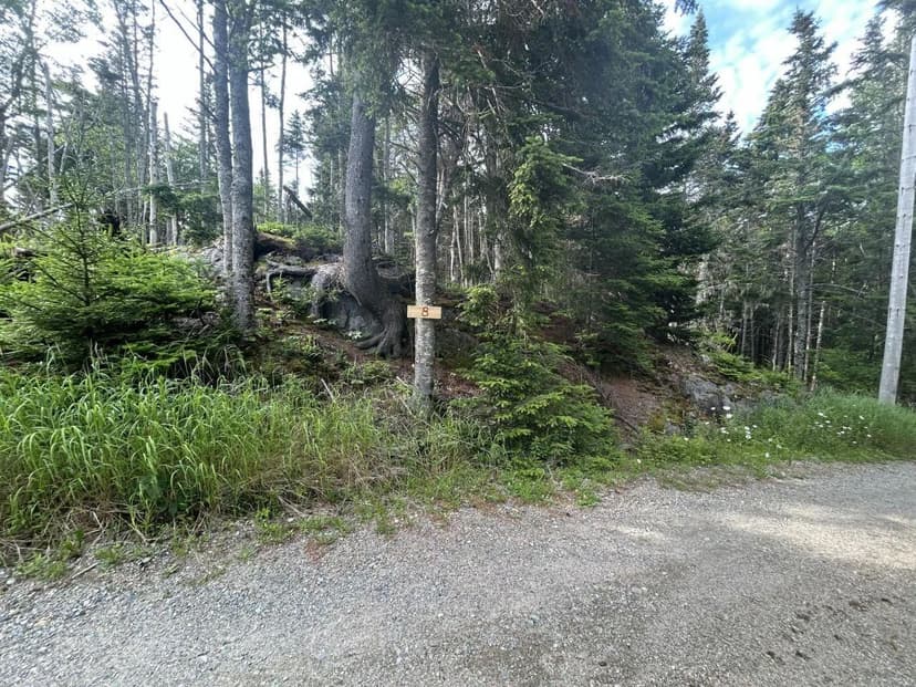 Land -Single Family Acreage in Addison