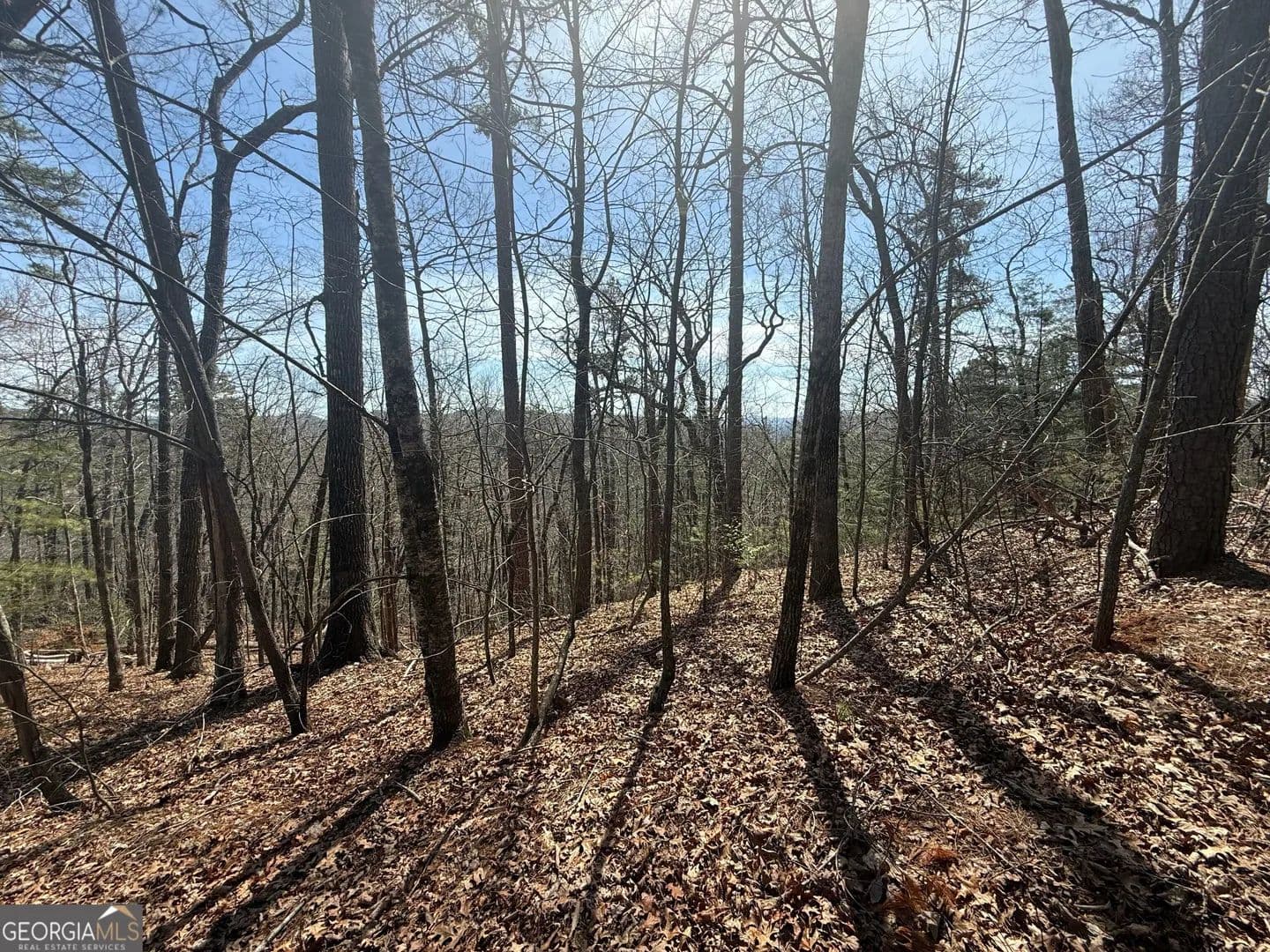 Lots & Land-Other in Clayton - Clayton, Georgia, 30525