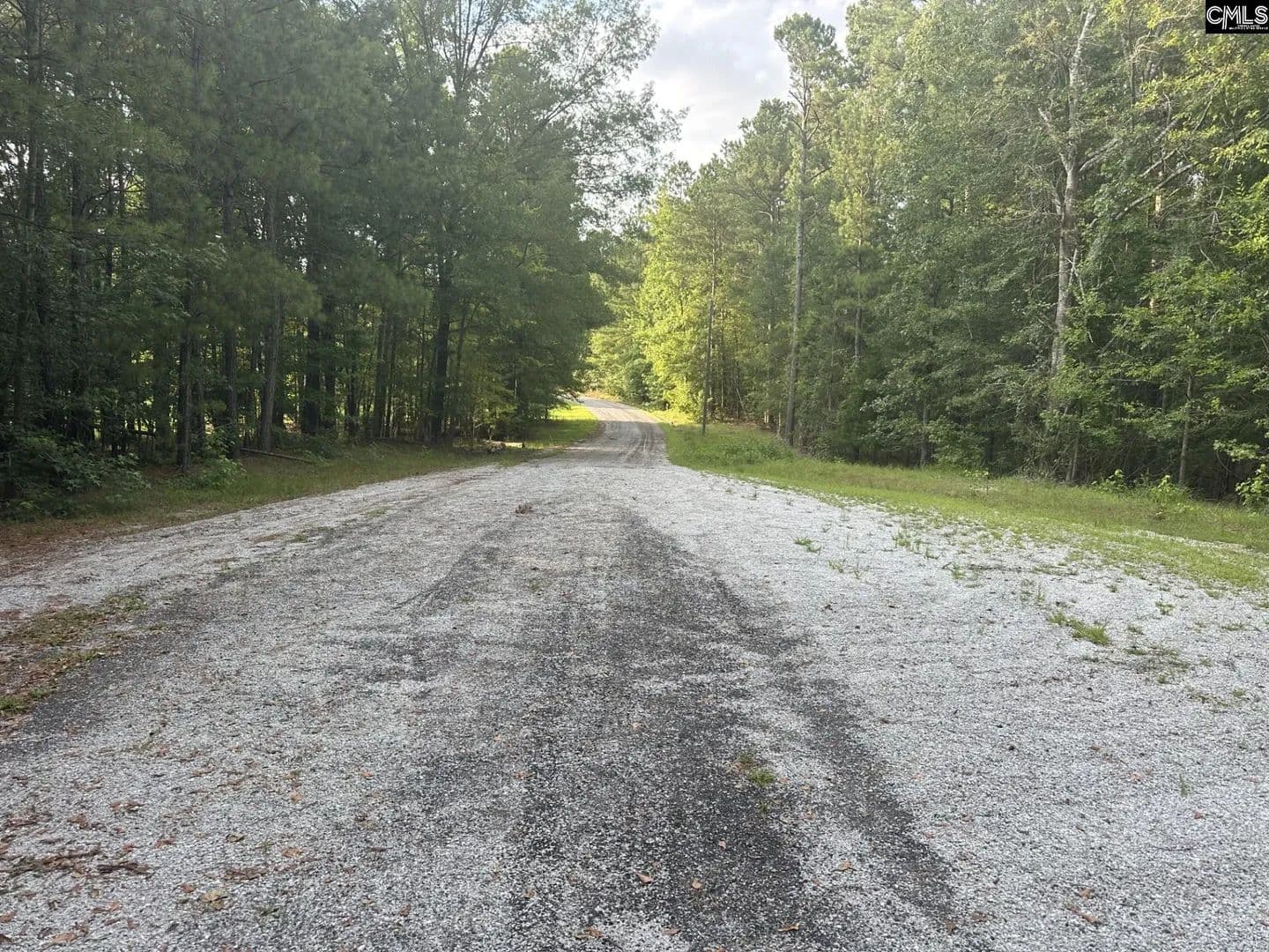 Vacant Land in Ridgeway - Ridgeway, South Carolina, 29130