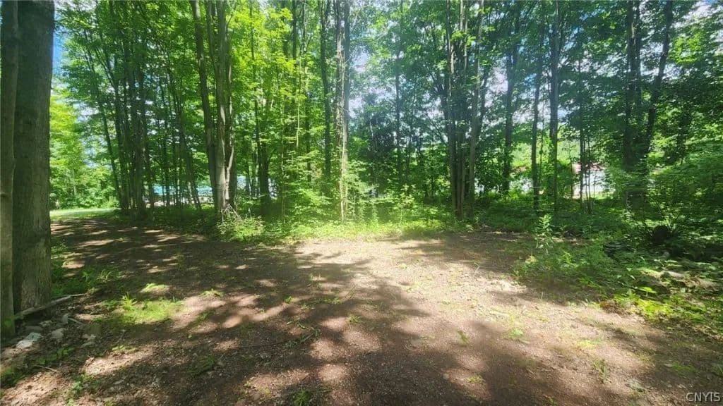 Land -Single Family Acreage in Hannibal - Hannibal, New York, 13074