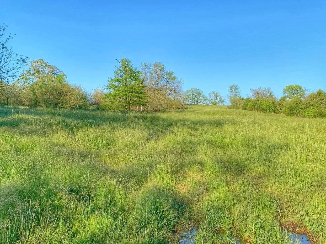 10.95 Acres of Land for Sale in Springfield, MO - Springfield, Missouri, 65803