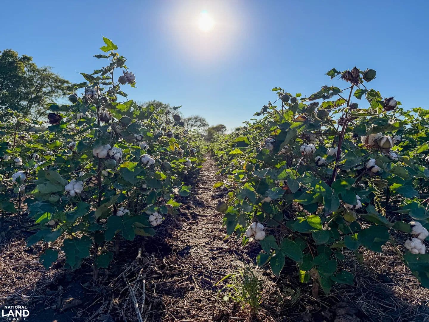 Chikaskia Farmland - Blackwell, Oklahoma, 74631