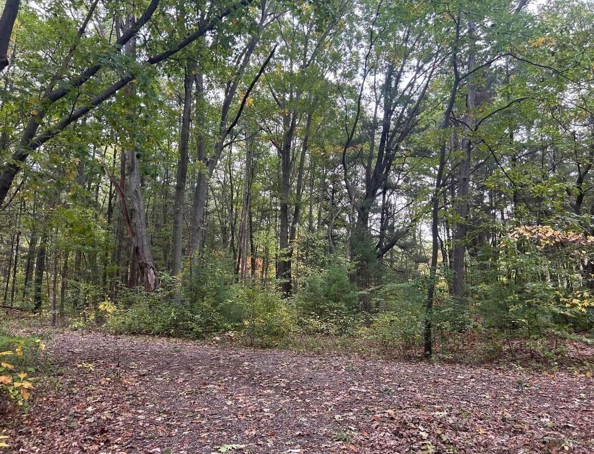 Vacant Land in Coloma - Coloma, Michigan, 49038