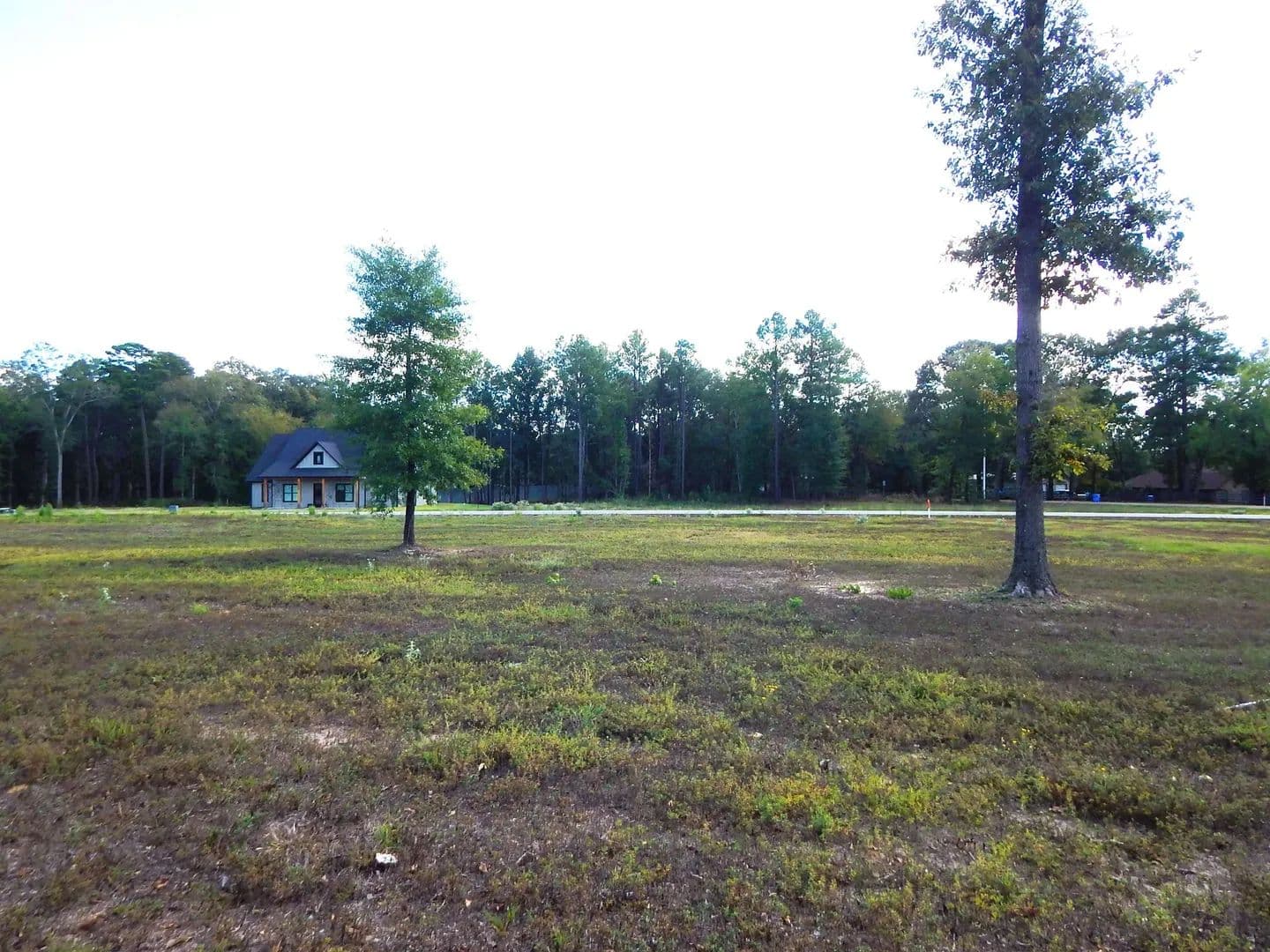 Vacant Land in Gilmer - Gilmer, Texas, 75645