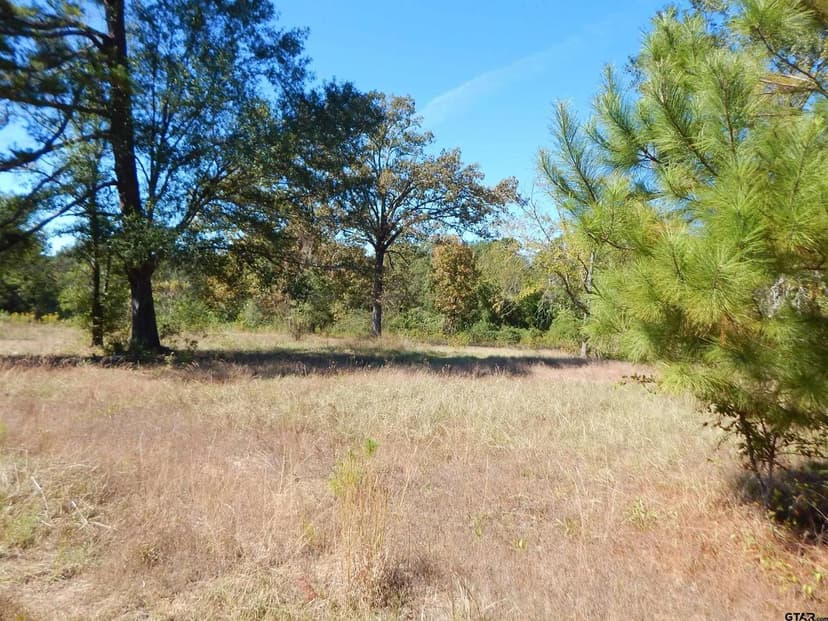 Vacant Land in Gilmer