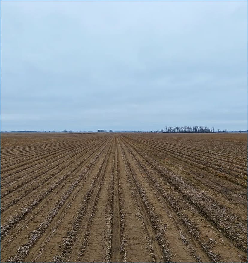 80 Acres in Sunflower County in Inverness, MS