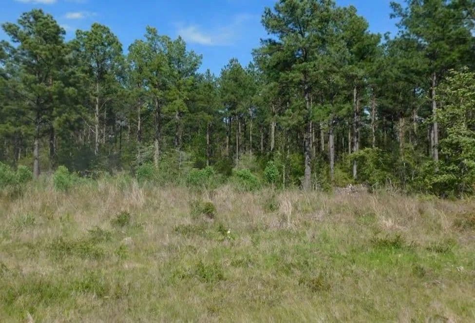 Vacant Land in Huntington - Huntington, Texas, 75949
