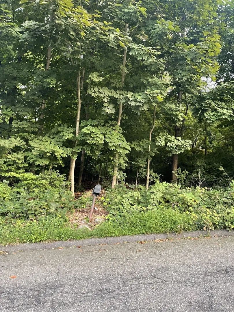 Vacant Land in Seymour