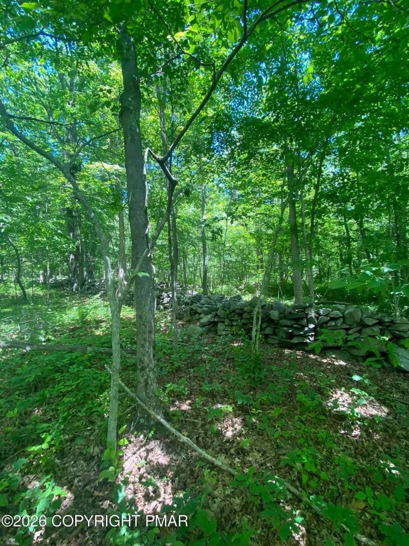Property from Sellersville Dr 4 Drive - KW - East Stroudsburg, Pennsylvania, 18302