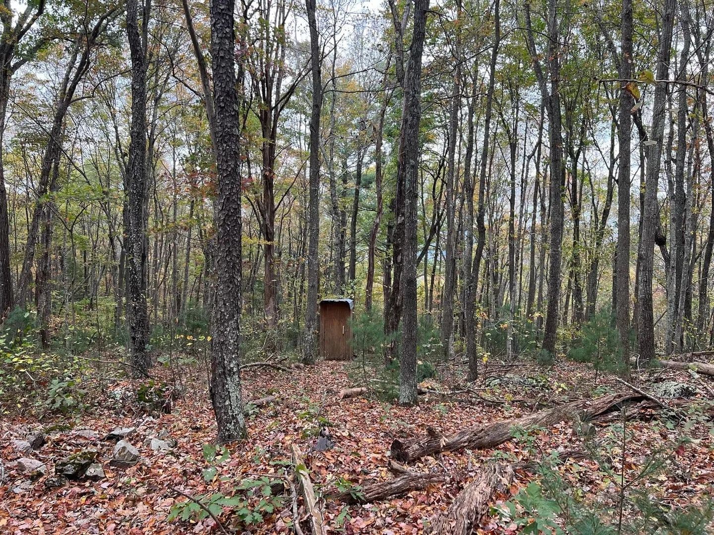 Lots & Land-Other in Gap Mills - Gap Mills, West Virginia, 24941