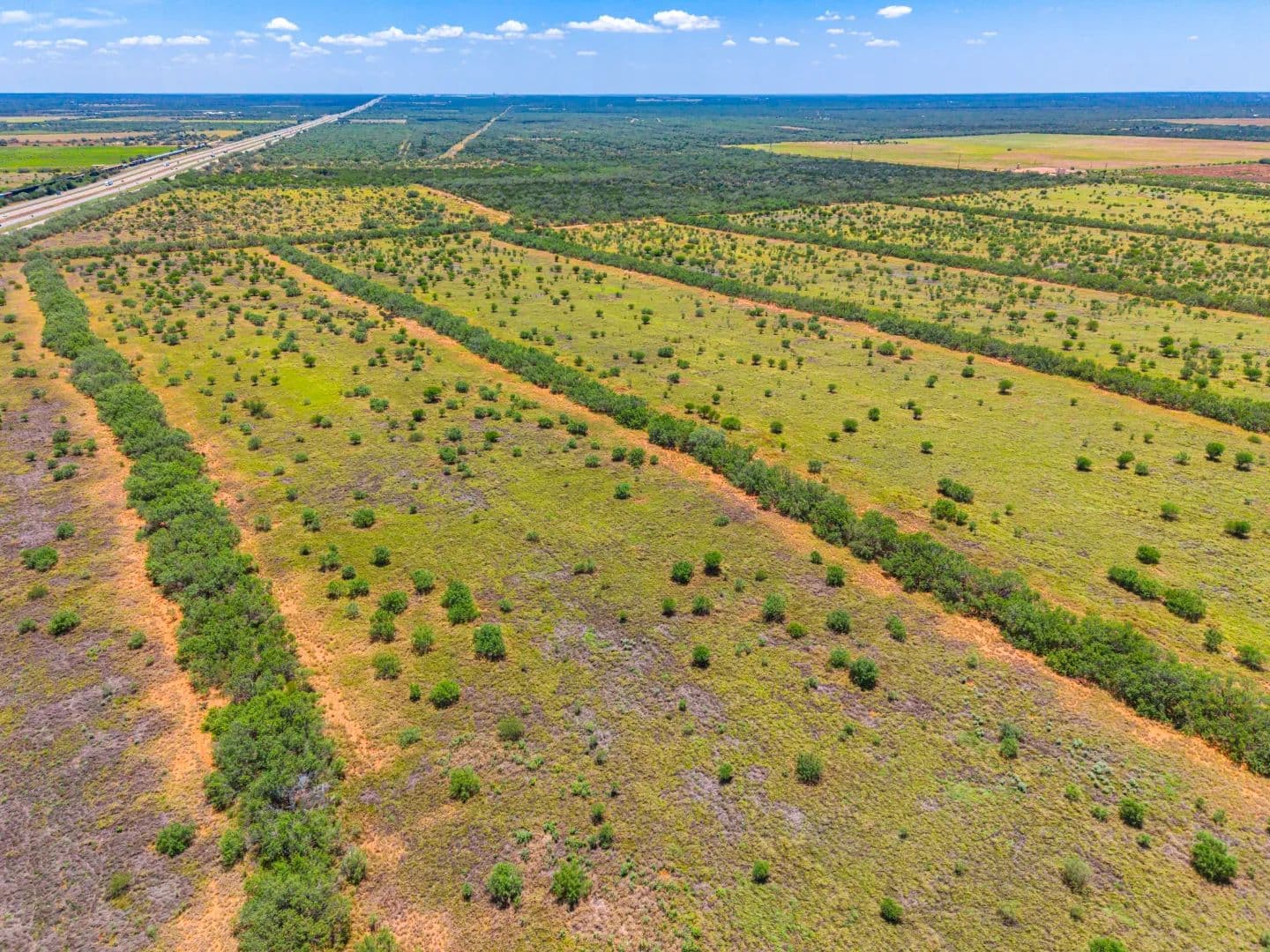 Dilley Ranch - Dilley, Texas, 78017