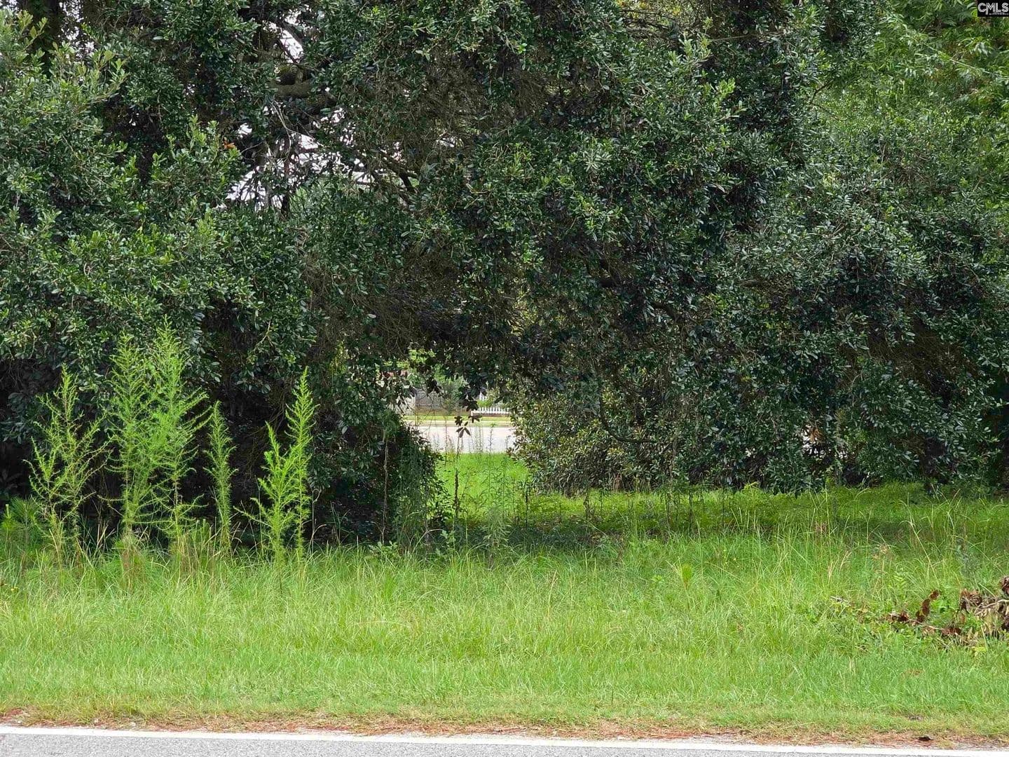 Vacant Land in Orangeburg - Orangeburg, South Carolina, 29115