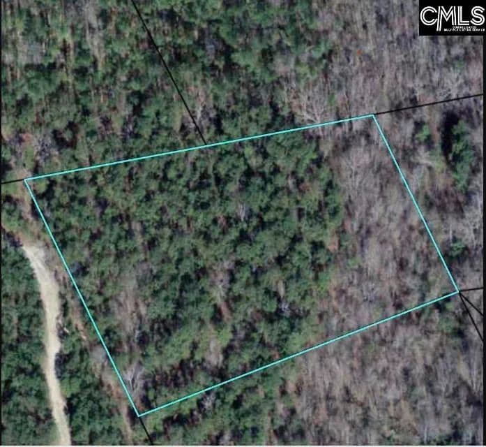 Vacant Land in Ridgeway - Ridgeway, South Carolina, 29130