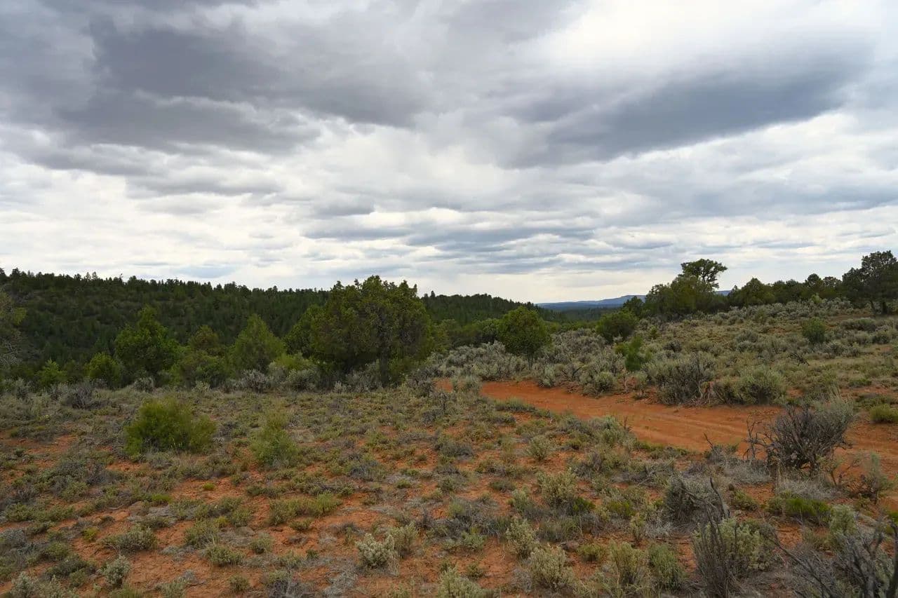 TA 120 - Tierra Amarilla, New Mexico, 87575