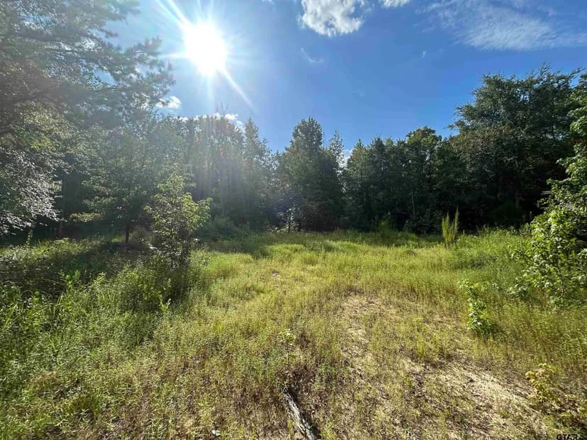Vacant Land in Hallsville