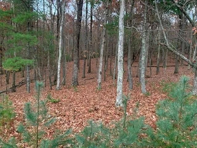 Lots & Land-Other in Blairsville - Blairsville, Georgia, 30512
