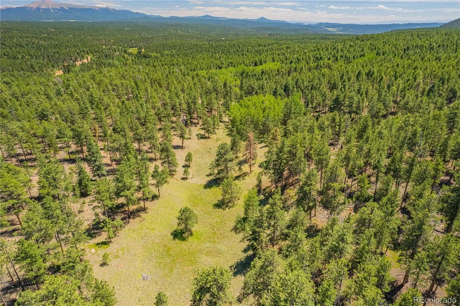41.3 Acres of Land for Sale in Florissant, CO - Florissant, Colorado, 80816