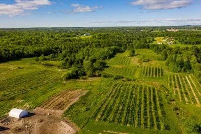 Orchard Ridge Farm - Gorham