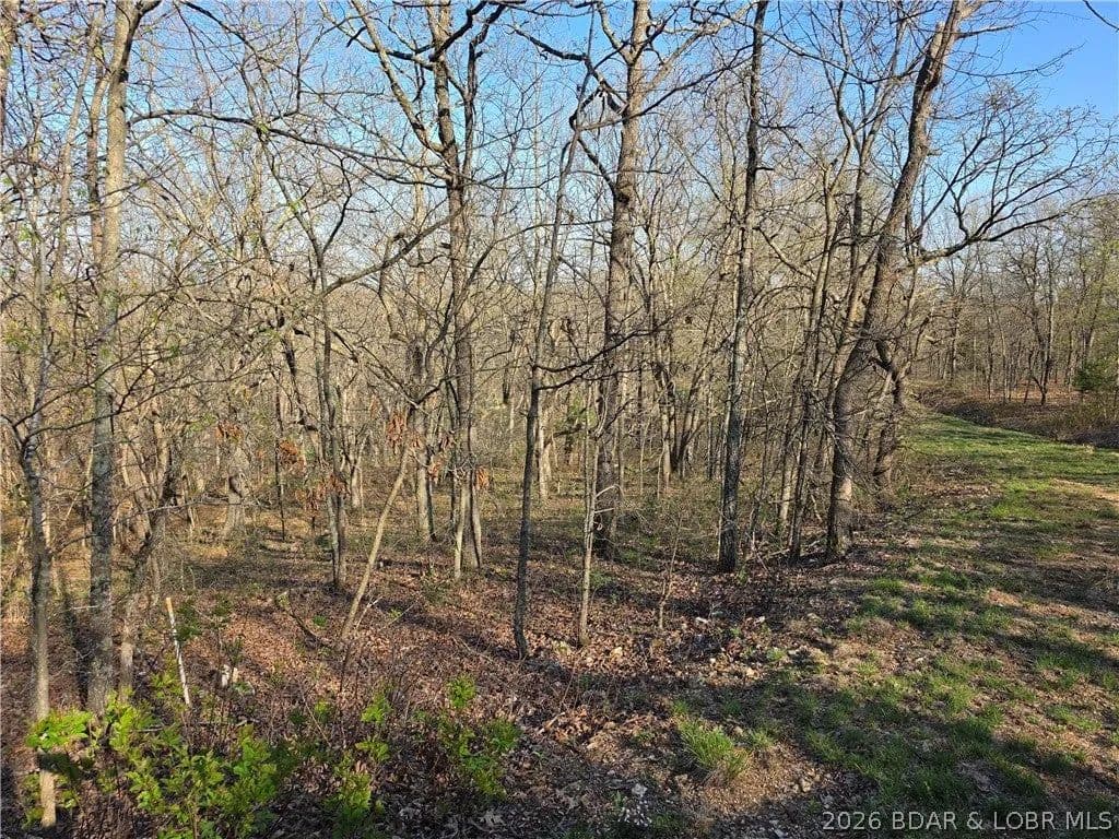 Lots & Land-Other in Edwards - Edwards, Missouri, 65326