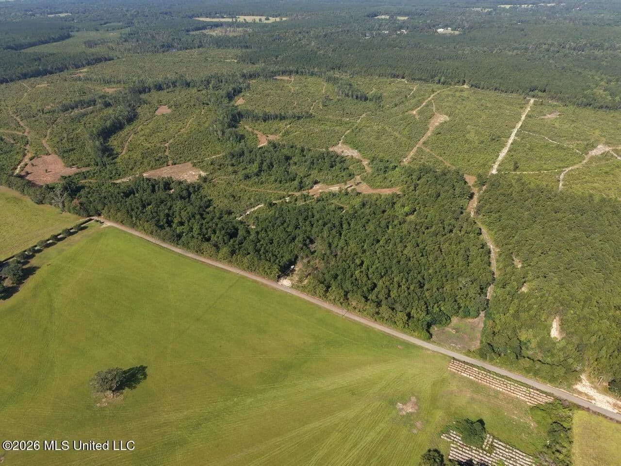 50± Acre Homesite & Hunting Land in Plainview, LA - Bogalusa, Louisiana, 70427
