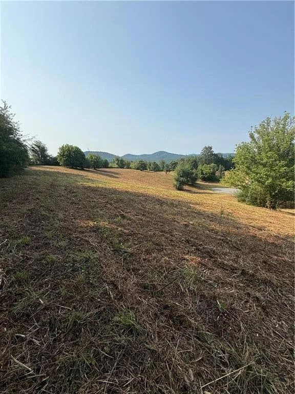 Land -Single Family Acreage in Ellijay - Ellijay, Georgia, 30536