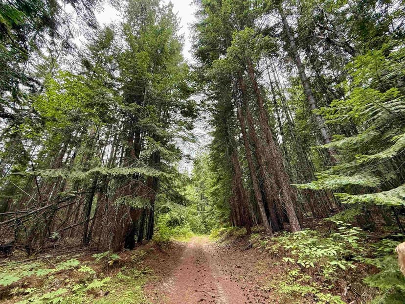 Property from 0 Bergen Rd - KW