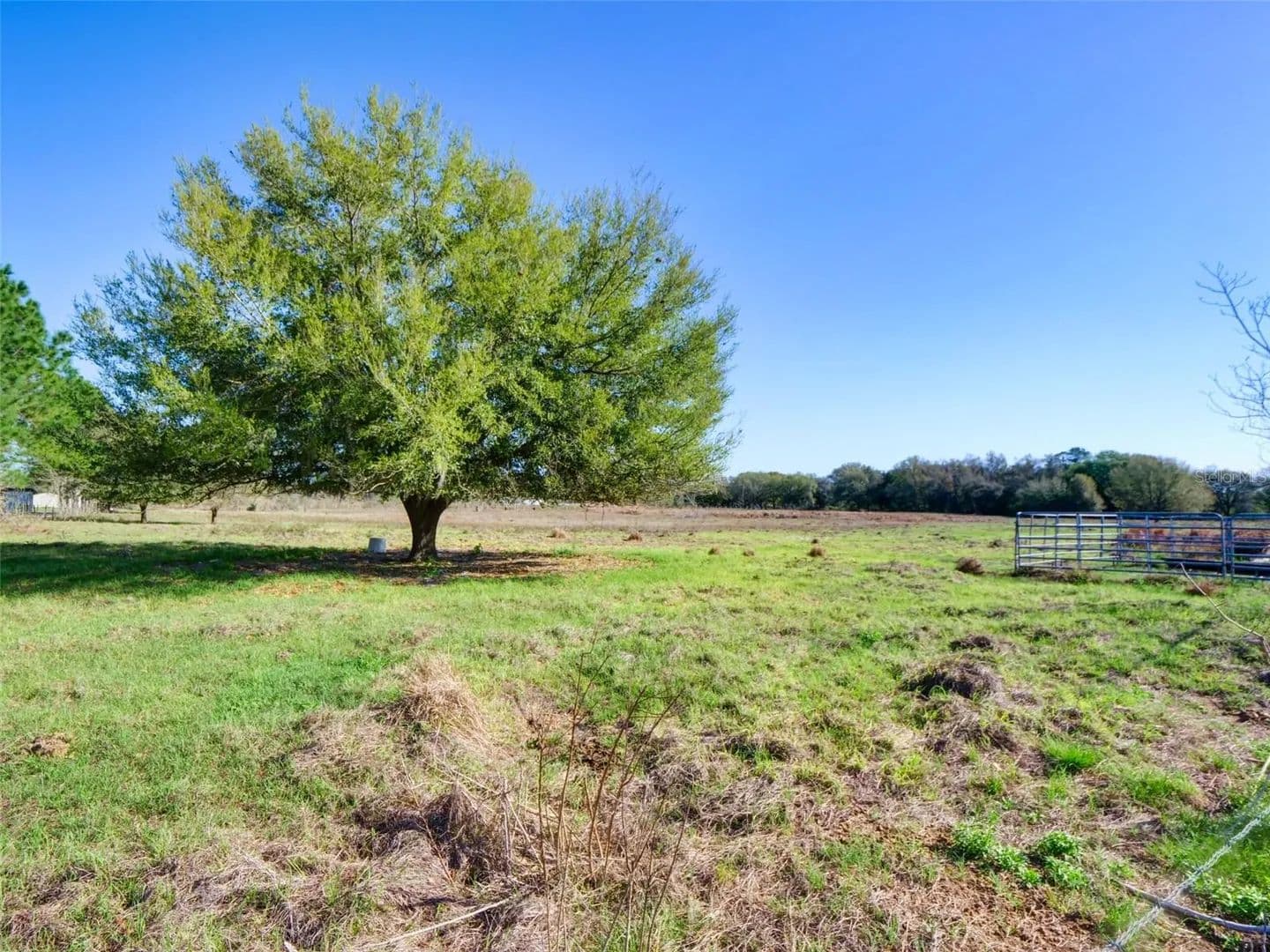 Vacant Land (0-10 Acres) in Bushnell - Bushnell, Florida, 33513