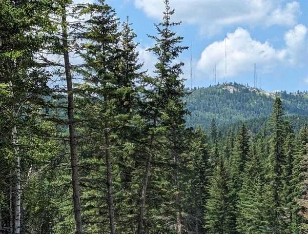 Land -Single Family Acreage in Lead - Lead, South Dakota, 57754