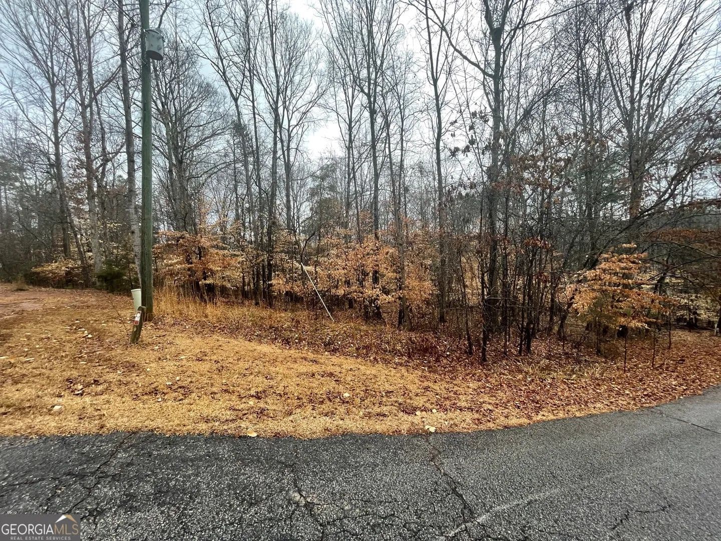 Vacant Land in Westminster - Westminster, South Carolina, 29693