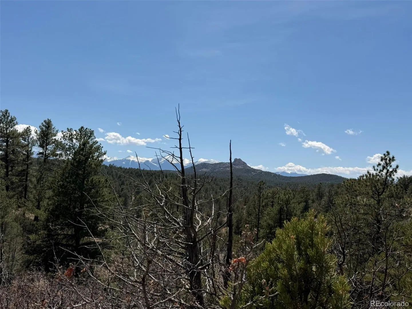Property from 176 Arnold Drive - KW - Cotopaxi, Colorado, 81223