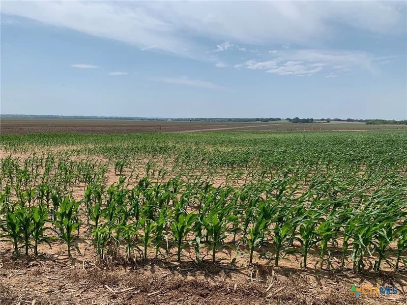 Lots & Land-Other in Chilton