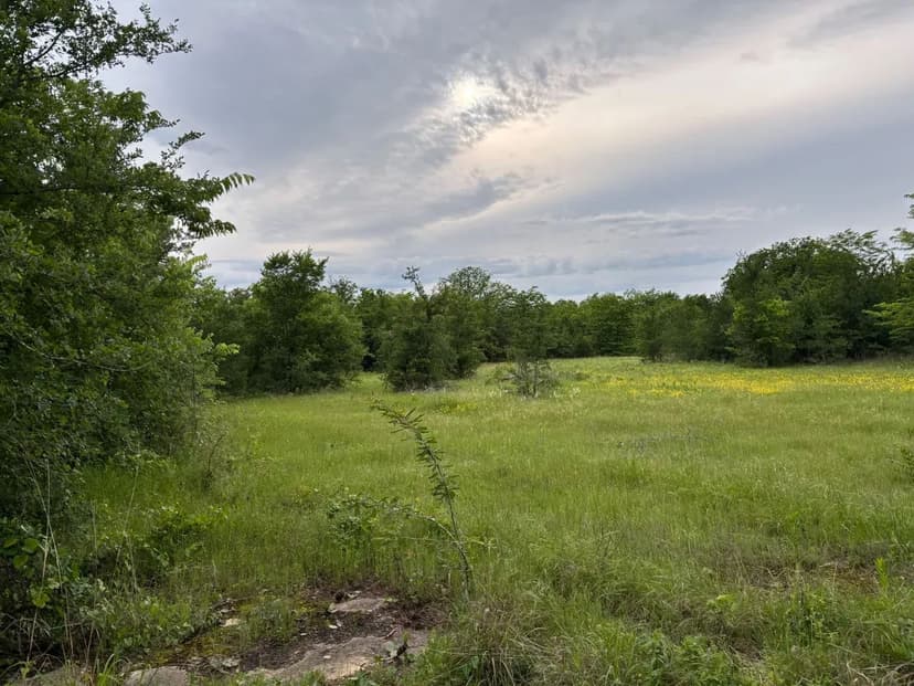 26.5 Acres - Hunting, Livestock, or Build Site