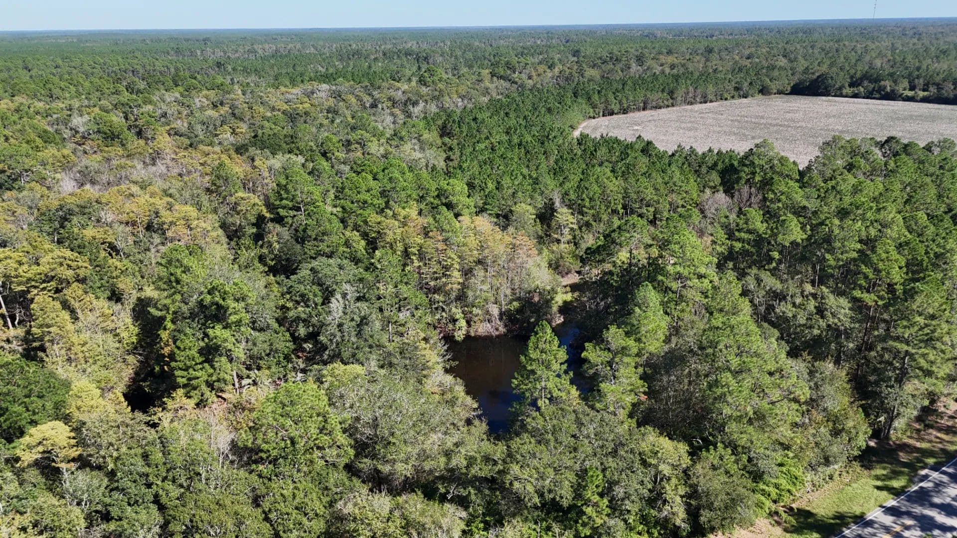 Millwood Hunting Retreat	 - Manor, Georgia, 31550