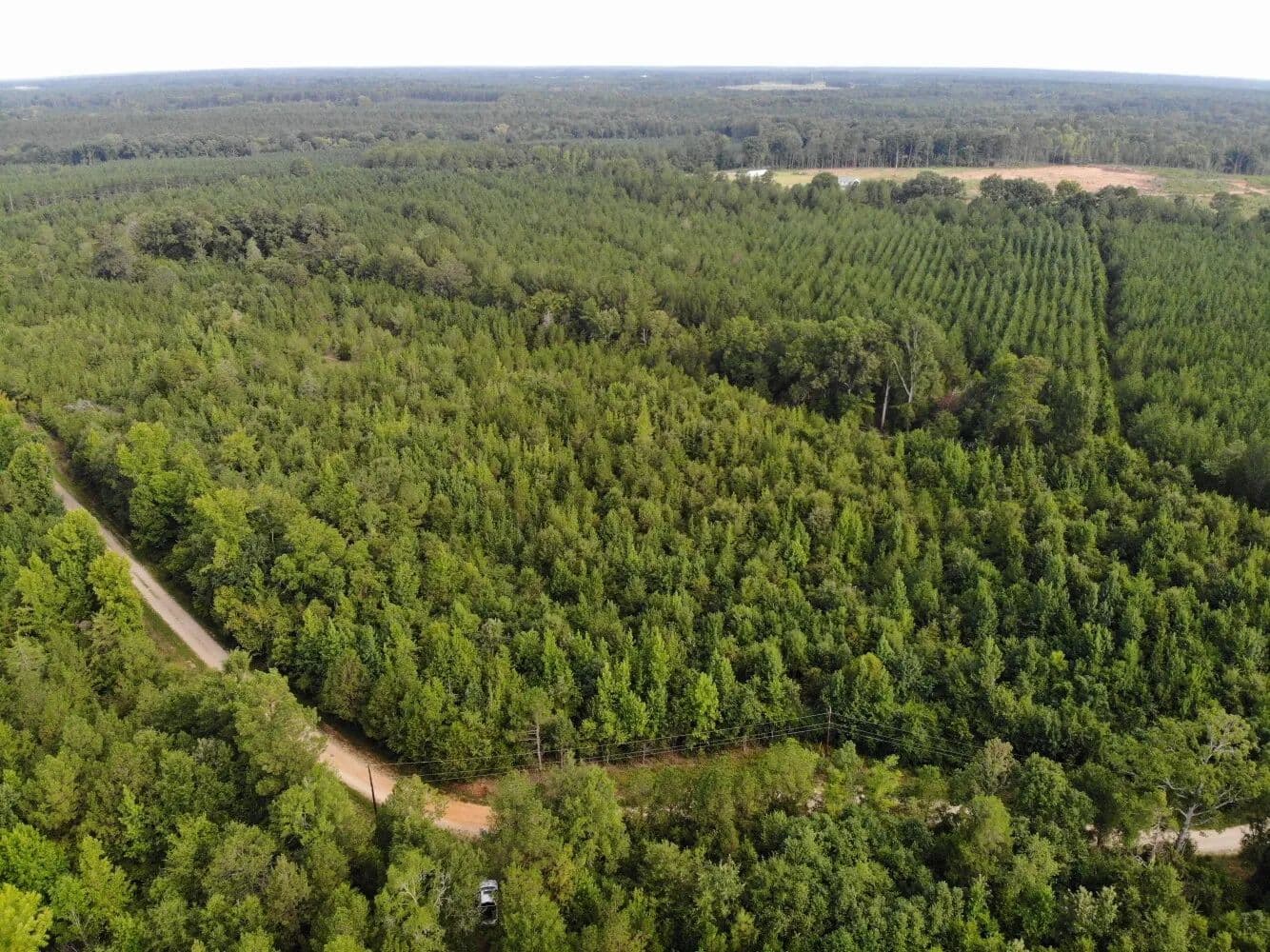 Chenault Drive Homesite - Saluda, South Carolina, 29138
